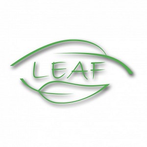 blog.leaf.ge